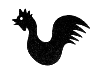 right side icon